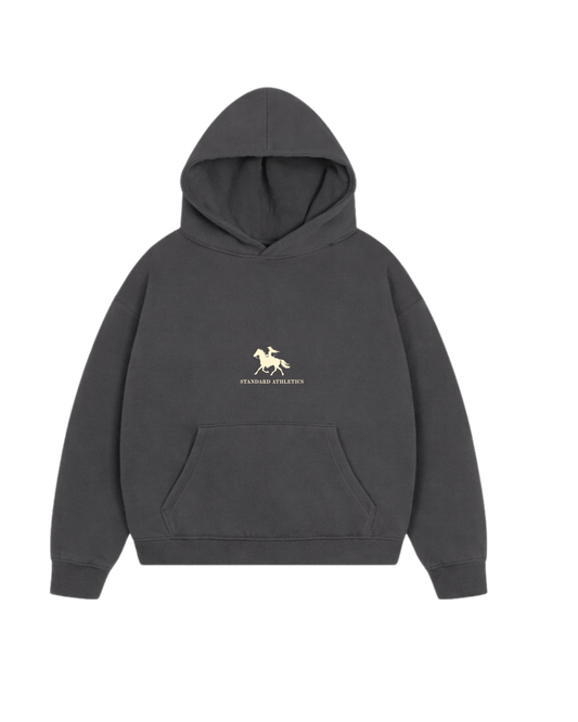 DEEP ASH HOODIE